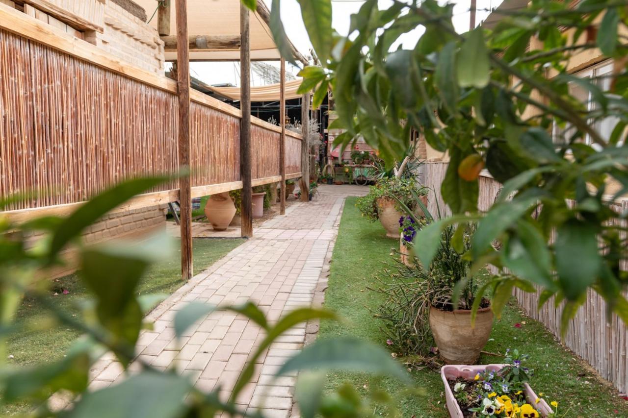 Desert Routes Inn Shvilim Ba Midbar Hazeva Esterno foto