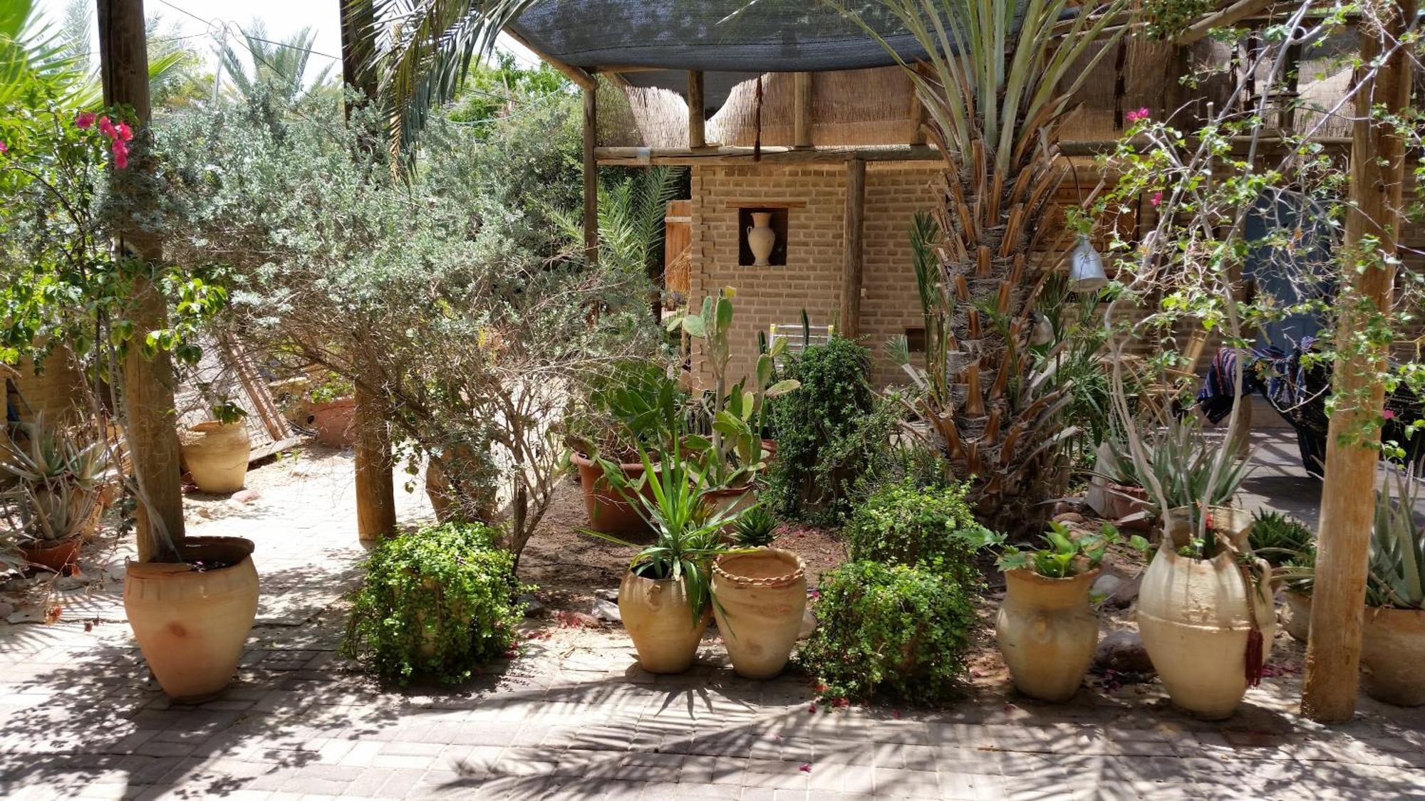 Desert Routes Inn Shvilim Ba Midbar Hazeva Esterno foto